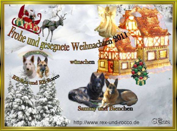 An den Beitrag angehängtes Bild: http://www.rex-und-rocco.de/images/imag2011/Weihnachten2011.jpg