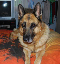 Rocco4_Bett_05-09_43