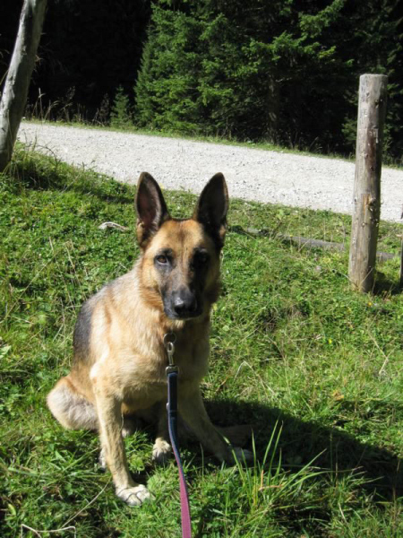 Bild14