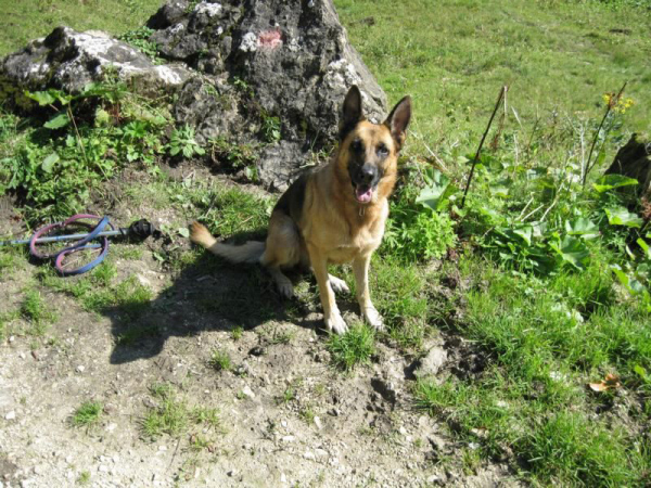 Bild8