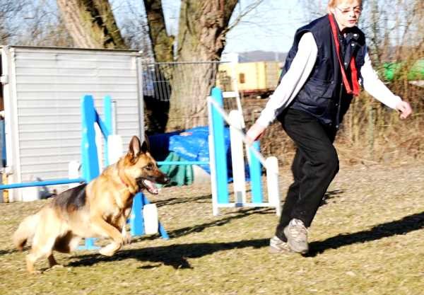 Images/Agility3_02-08.jpg