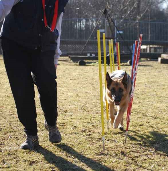 Images/Agility6_02-08.jpg