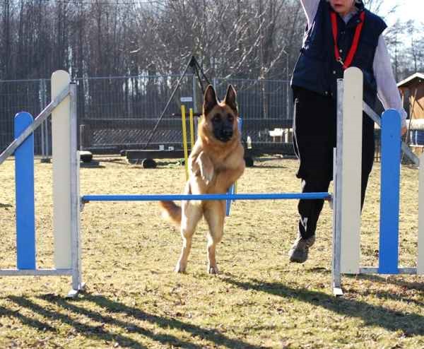 Images/Agility7_02-08.jpg