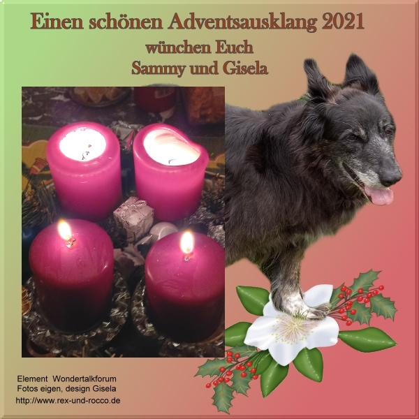 An den Beitrag angehängtes Bild: https://www.rex-und-rocco.de/images/imag2021/Advent2_2021_Sammy-Gisela.jpg