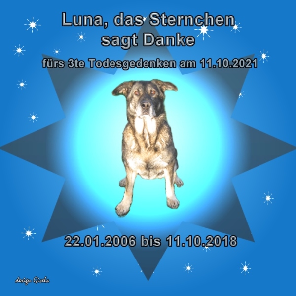An den Beitrag angehängtes Bild: https://www.rex-und-rocco.de/images/imag2021/Luna-danke3terTodestag_11-10-2021.jpg